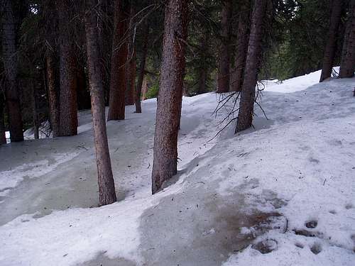 Ice trail