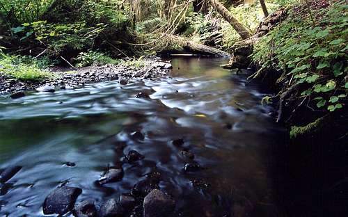 Oregon Coast Range Stream