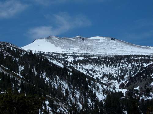 View of Mount Rose from the summit