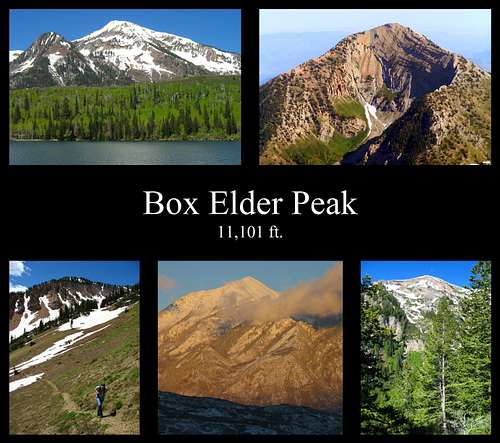 Box Elder Peak