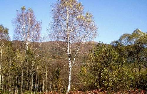 View from the trail (3)