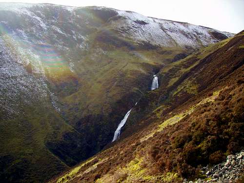 Grey Mares Tail