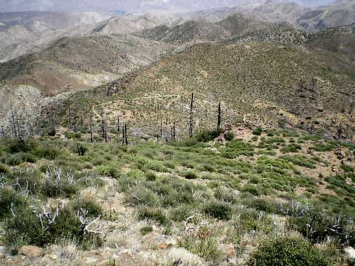 Looking Down on PCT through the Combs' Saddle
