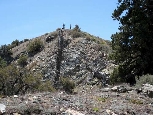 Summit of Iron Mtn.#1 from North Ridge