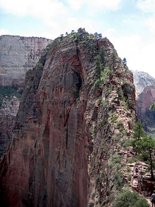 View of The Ridge