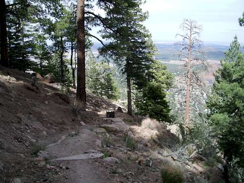 On the Mt. Elden Trail