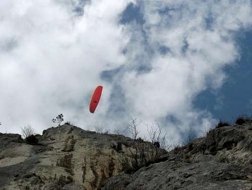 Paraglider at Hohe Wand