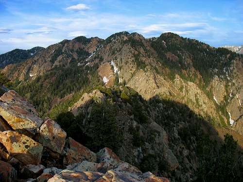 Wildcat Ridge from Mt. Olympus summit