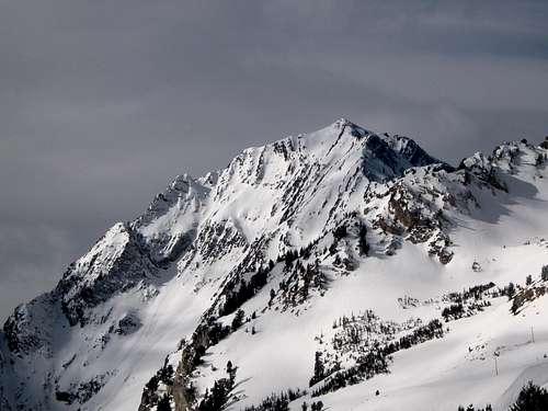 Mt Superior from Grizzly Gulch