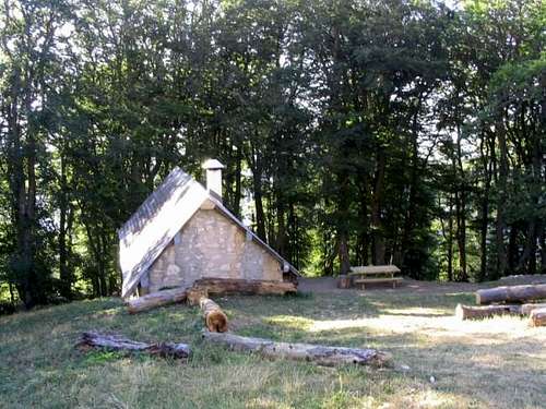 Hut in the beech forest near...