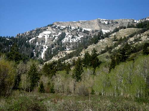 Elkhorn Peak