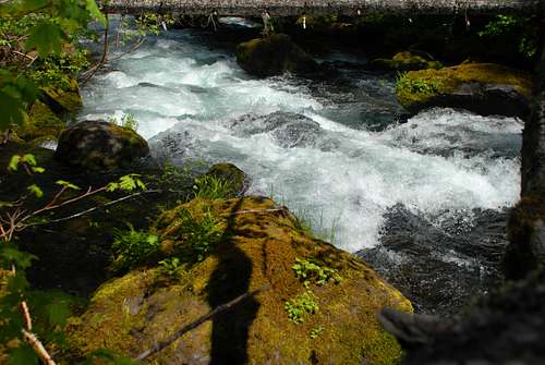 Head Waters of the Middle Fork of the Willamette