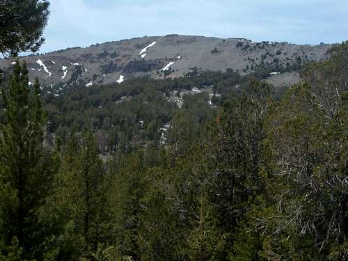 Relay Peak from the trail
