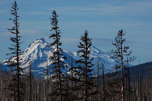 North and Middle Sister from near Santiam Pass