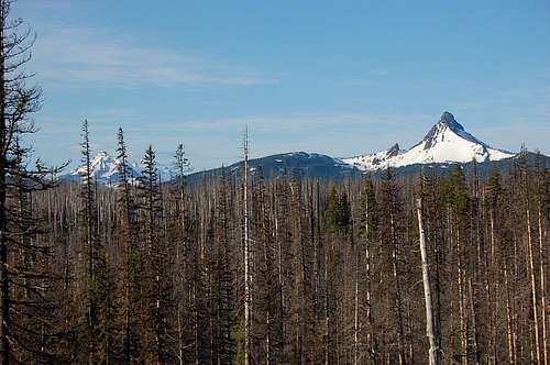 North and Middle Sister and Mt. Washington from near Santiam Pass