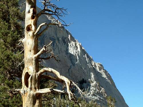 From Whitney trail