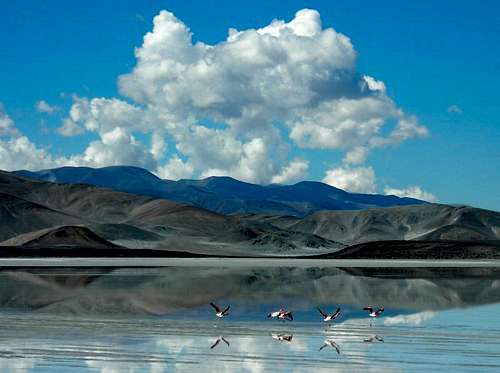 Puna de Atacama - Landscape 09