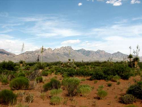 Organ Mountains west side view