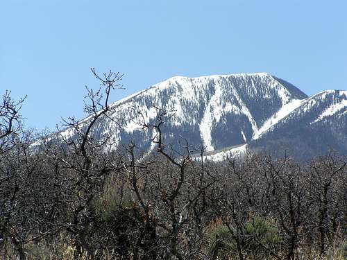 Abajo mountains above Indian Creek.