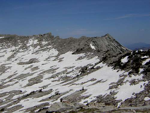 Southwestern slopes of Lightning Ridge