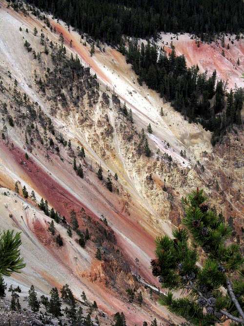 Yellowstone Canyon Colors