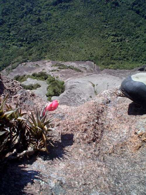 Pico Maior summit