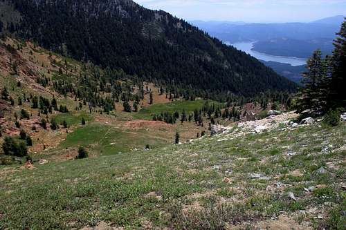 Red Mountain Meadow