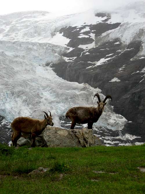 View from the Hut of the icefall