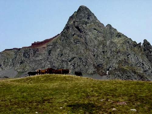 The Peak of Anayet (2545m) ....