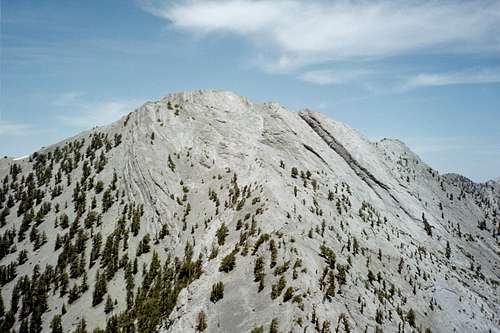 Currant Mountain