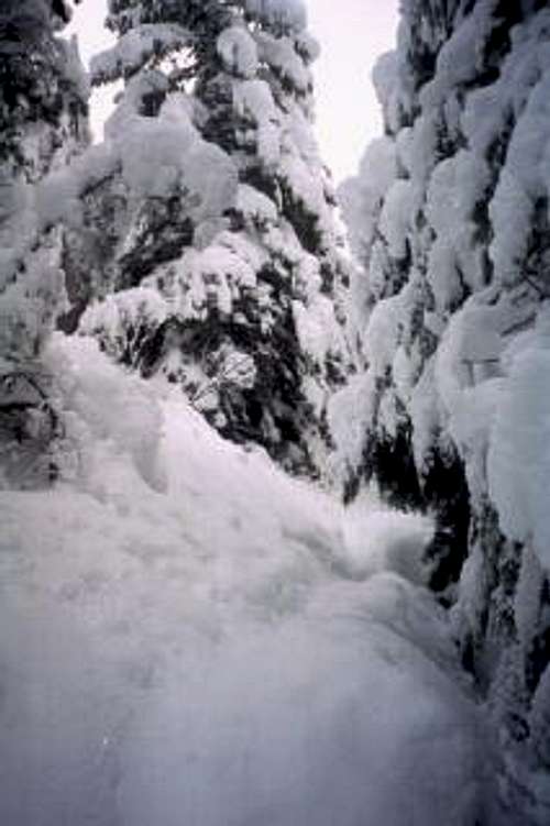 Trail conditions on Tom Dick...