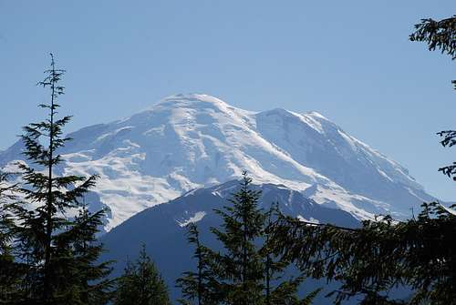 Rainier from a viewpoint in the park