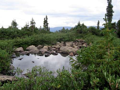 pond in Naturalist Basin