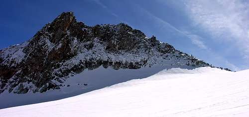 Aiguille d'Entrèves from Gigante Glacier
