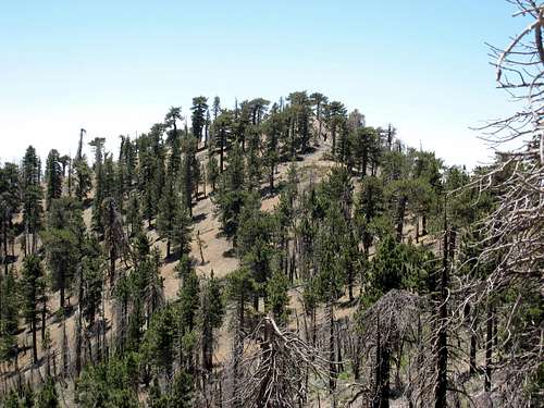 Mt. Hawkins (8,850'), San Gabriel Mountains