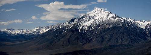 Mount Tom From Hwy 395