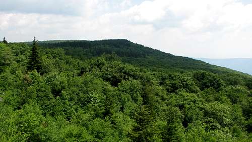 Looking toward Bear Rocks