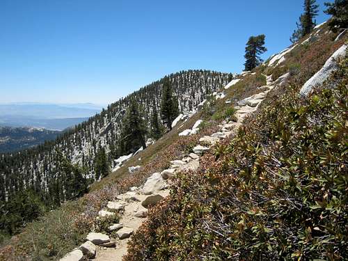 Jean Peak (10,670') from Trail to San Jacinto Pk