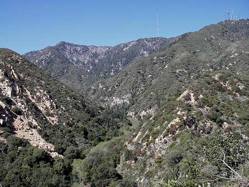 Mt. Wilson From the Idlehour Trail