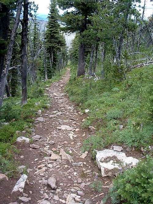 Trail to summit