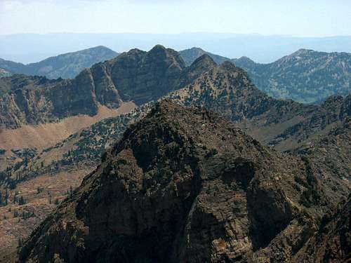 Monte Cristo & Dromedary from Twin Peaks