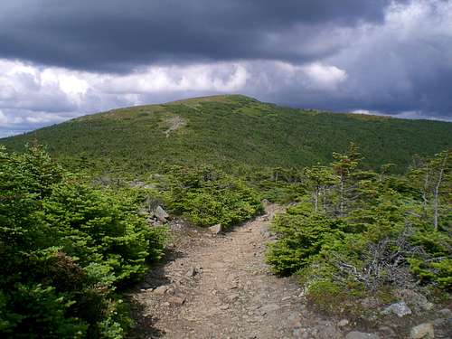 Moosilauke summit from Carriage Road