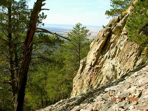Wyoming View