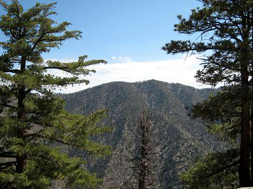 Pleasant View Ridge, San Gabriel Mtns.