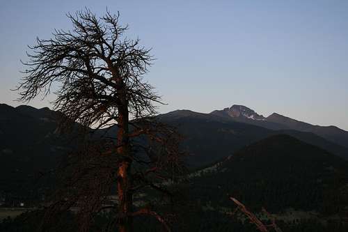 Longs Peak in Morning Light
