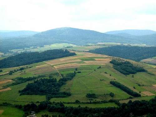 View from Mount Grzywacka