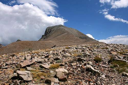 Wheeler Peak summit
