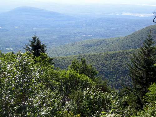 an open view on the Escarpment trail