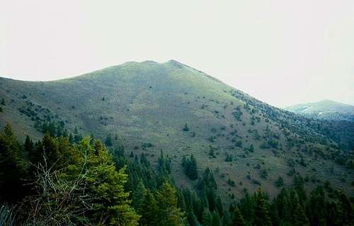 Moore Mountain