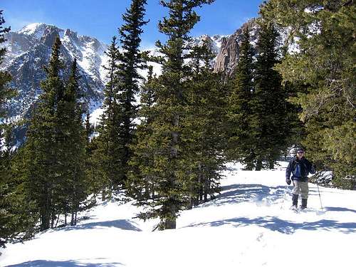 Elk Park Trail in winter